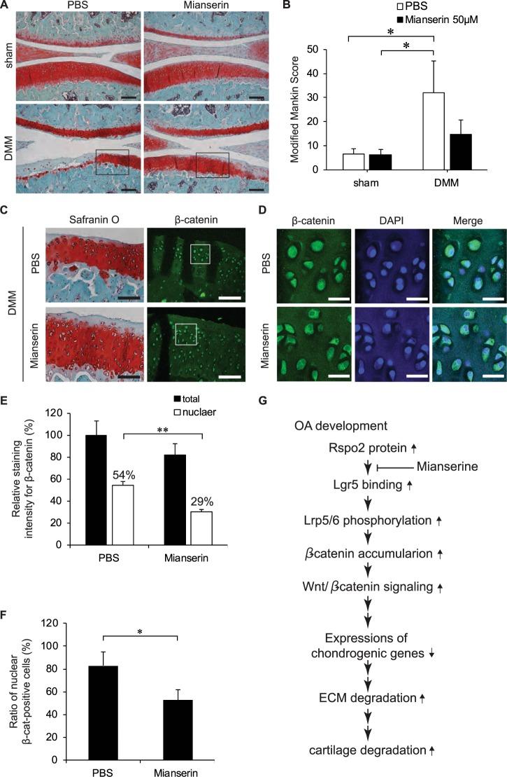 https://cdn.ncbi.nlm.nih.gov/pmc/blobs/e4c6/6391487/46e0625980dd/41598_2019_39393_Fig4_HTML.jpg