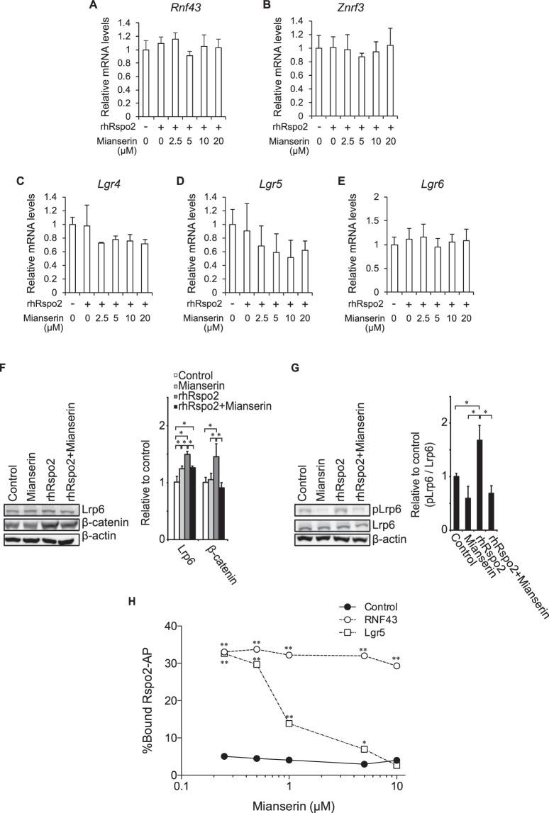 https://cdn.ncbi.nlm.nih.gov/pmc/blobs/e4c6/6391487/62967c7f017d/41598_2019_39393_Fig3_HTML.jpg