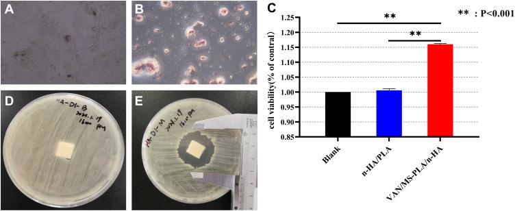 https://cdn.ncbi.nlm.nih.gov/pmc/blobs/e4c7/9868285/6136c918fc85/IJN-18-307-g0005.jpg
