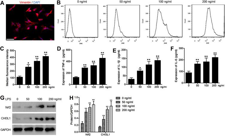 https://cdn.ncbi.nlm.nih.gov/pmc/blobs/e4c9/8403022/6f39482f3ff7/JIR-14-4079-g0005.jpg