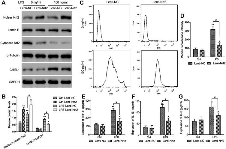 https://cdn.ncbi.nlm.nih.gov/pmc/blobs/e4c9/8403022/9c78d6db4092/JIR-14-4079-g0006.jpg