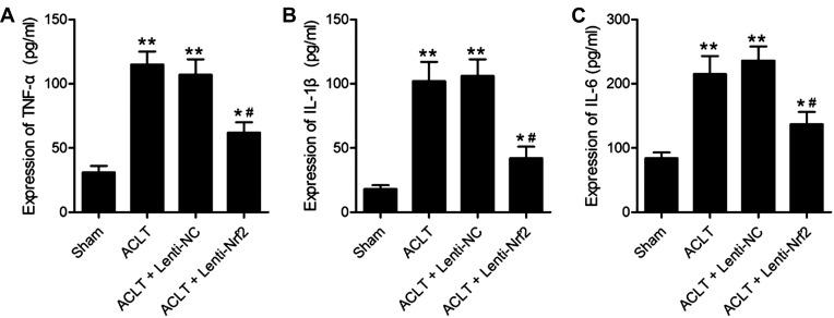 https://cdn.ncbi.nlm.nih.gov/pmc/blobs/e4c9/8403022/a7eac6f31754/JIR-14-4079-g0004.jpg