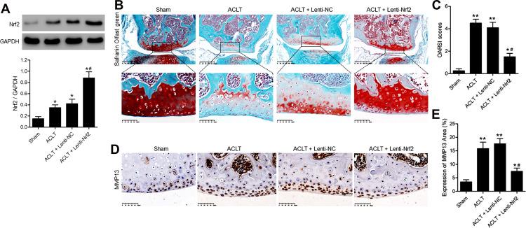 https://cdn.ncbi.nlm.nih.gov/pmc/blobs/e4c9/8403022/fd1b9bd83f4d/JIR-14-4079-g0001.jpg