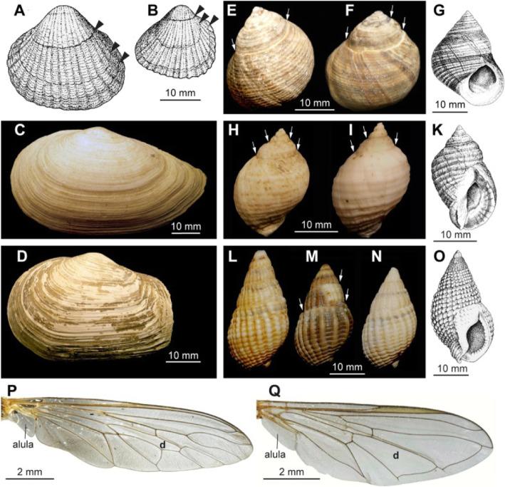 https://cdn.ncbi.nlm.nih.gov/pmc/blobs/e4ca/9235205/103e35984de0/13326_2022_268_Fig8_HTML.jpg