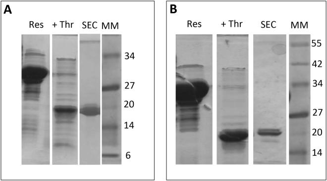 https://cdn.ncbi.nlm.nih.gov/pmc/blobs/e4cb/5686140/2d16c8cd5dc6/41598_2017_15299_Fig2_HTML.jpg