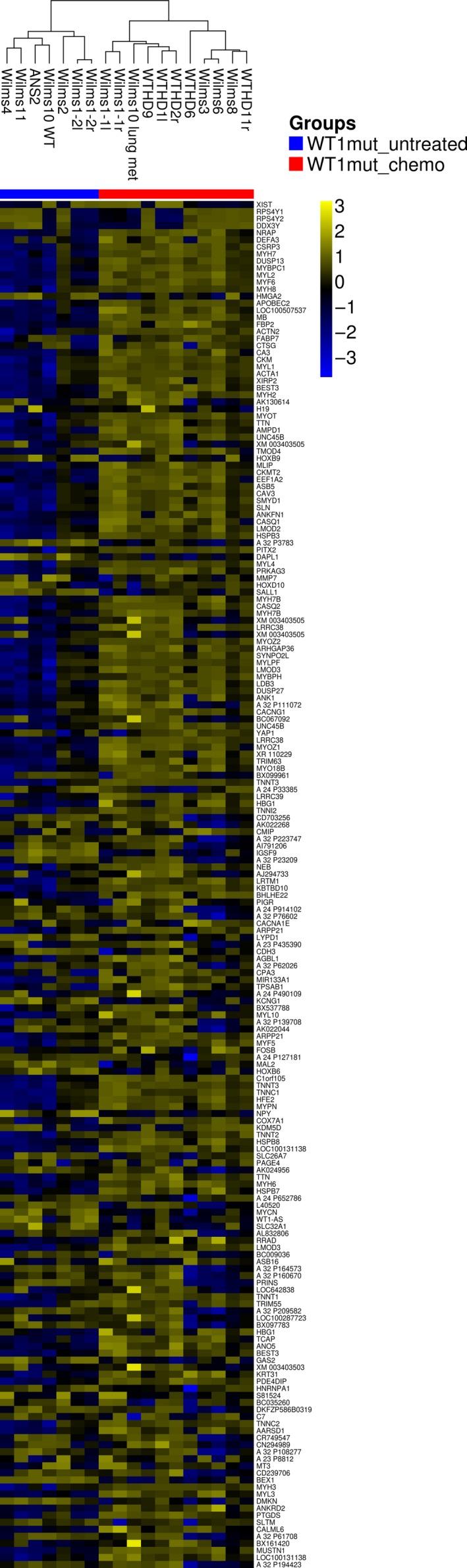 https://cdn.ncbi.nlm.nih.gov/pmc/blobs/e4cc/5911586/d9a64c17b094/CAM4-7-1359-g001.jpg