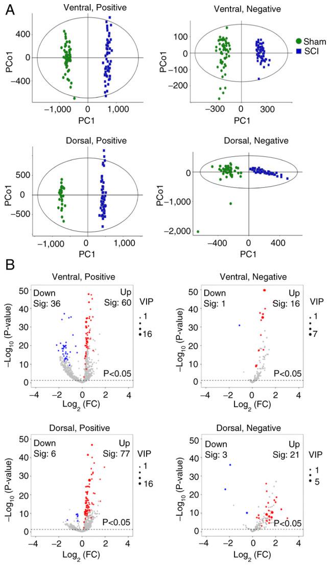 https://cdn.ncbi.nlm.nih.gov/pmc/blobs/e4cd/12035510/d0e988be89a7/etm-29-06-12867-g03.jpg