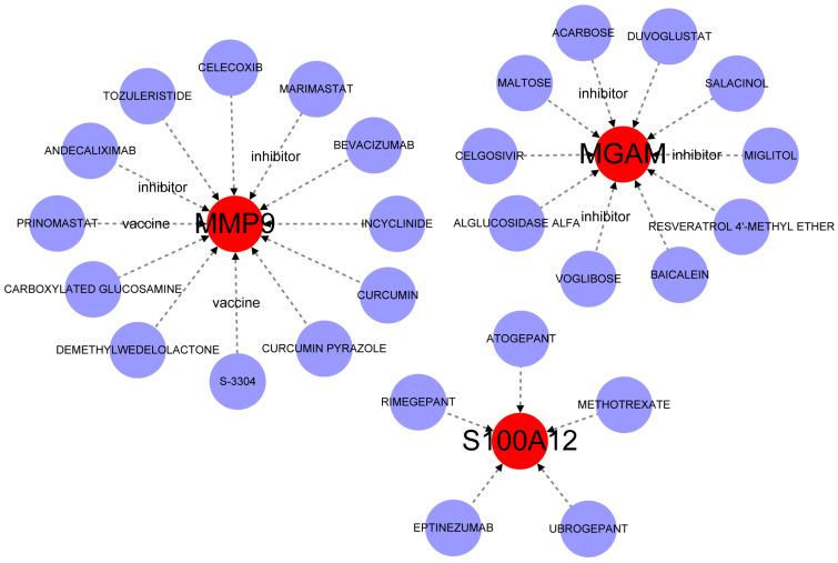 https://cdn.ncbi.nlm.nih.gov/pmc/blobs/e4d4/11990002/0d43798740e9/ijms-26-03230-g008.jpg
