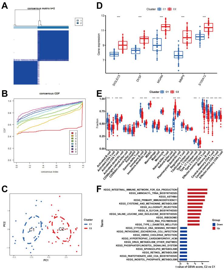 https://cdn.ncbi.nlm.nih.gov/pmc/blobs/e4d4/11990002/c4f8597d1bcb/ijms-26-03230-g007.jpg
