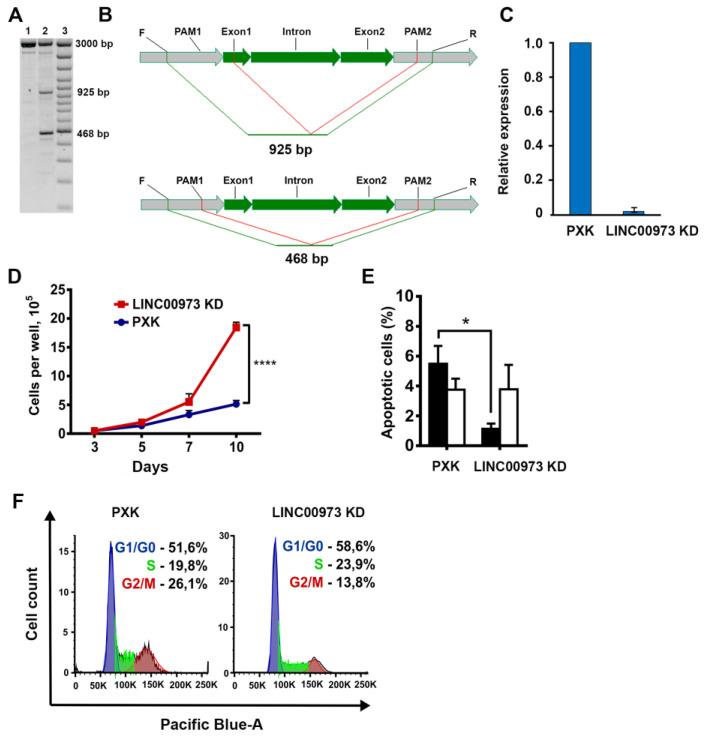 https://cdn.ncbi.nlm.nih.gov/pmc/blobs/e4d6/7664178/81b8711ddc35/ijms-21-08322-g002.jpg