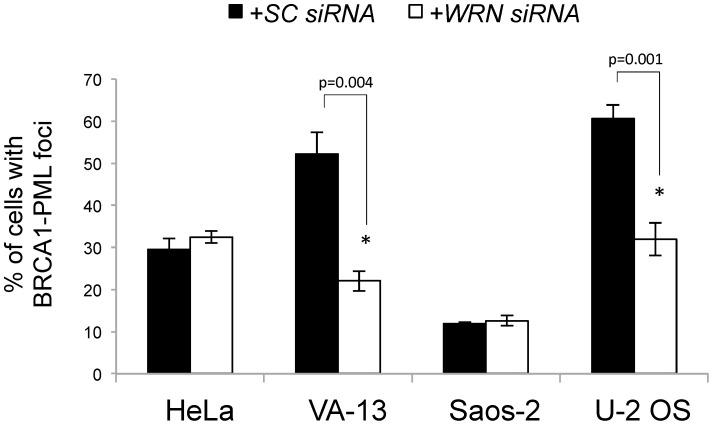 https://cdn.ncbi.nlm.nih.gov/pmc/blobs/e4d7/3977986/2efa07c5162f/pone.0093991.g008.jpg