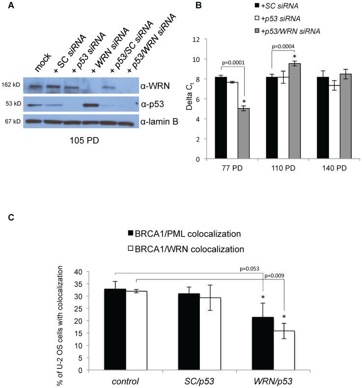 https://cdn.ncbi.nlm.nih.gov/pmc/blobs/e4d7/3977986/7c4b55575a5c/pone.0093991.g009.jpg