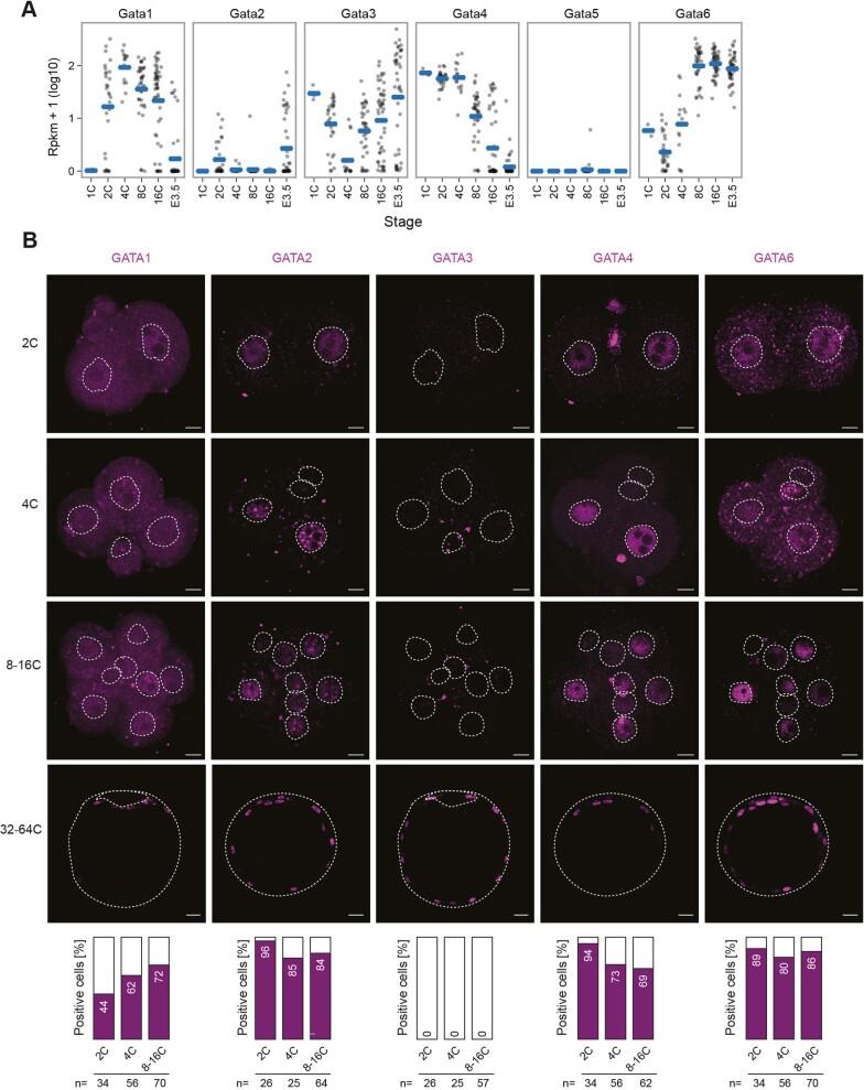 https://cdn.ncbi.nlm.nih.gov/pmc/blobs/e4d9/10635832/238d656ec2db/41556_2023_1266_Fig12_ESM.jpg