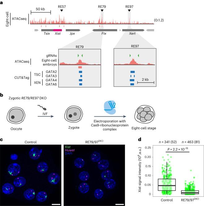 https://cdn.ncbi.nlm.nih.gov/pmc/blobs/e4d9/10635832/29bad5b65a46/41556_2023_1266_Fig6_HTML.jpg