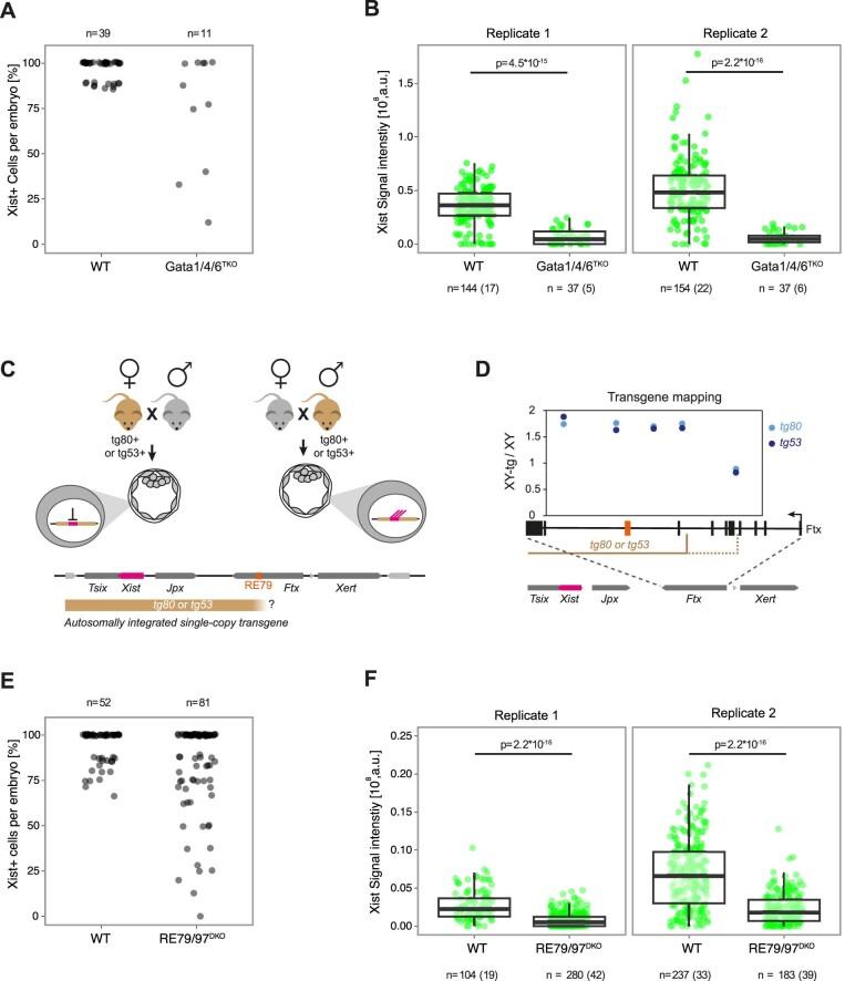 https://cdn.ncbi.nlm.nih.gov/pmc/blobs/e4d9/10635832/69f77b824fd3/41556_2023_1266_Fig13_ESM.jpg
