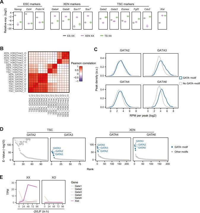 https://cdn.ncbi.nlm.nih.gov/pmc/blobs/e4d9/10635832/71f0620c9cc8/41556_2023_1266_Fig11_ESM.jpg