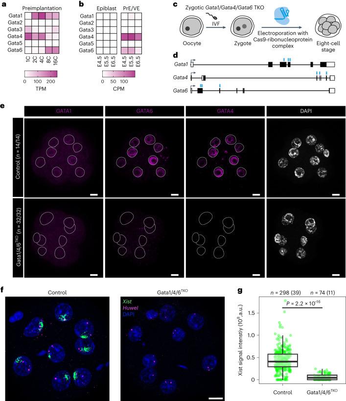 https://cdn.ncbi.nlm.nih.gov/pmc/blobs/e4d9/10635832/b48e99942672/41556_2023_1266_Fig5_HTML.jpg