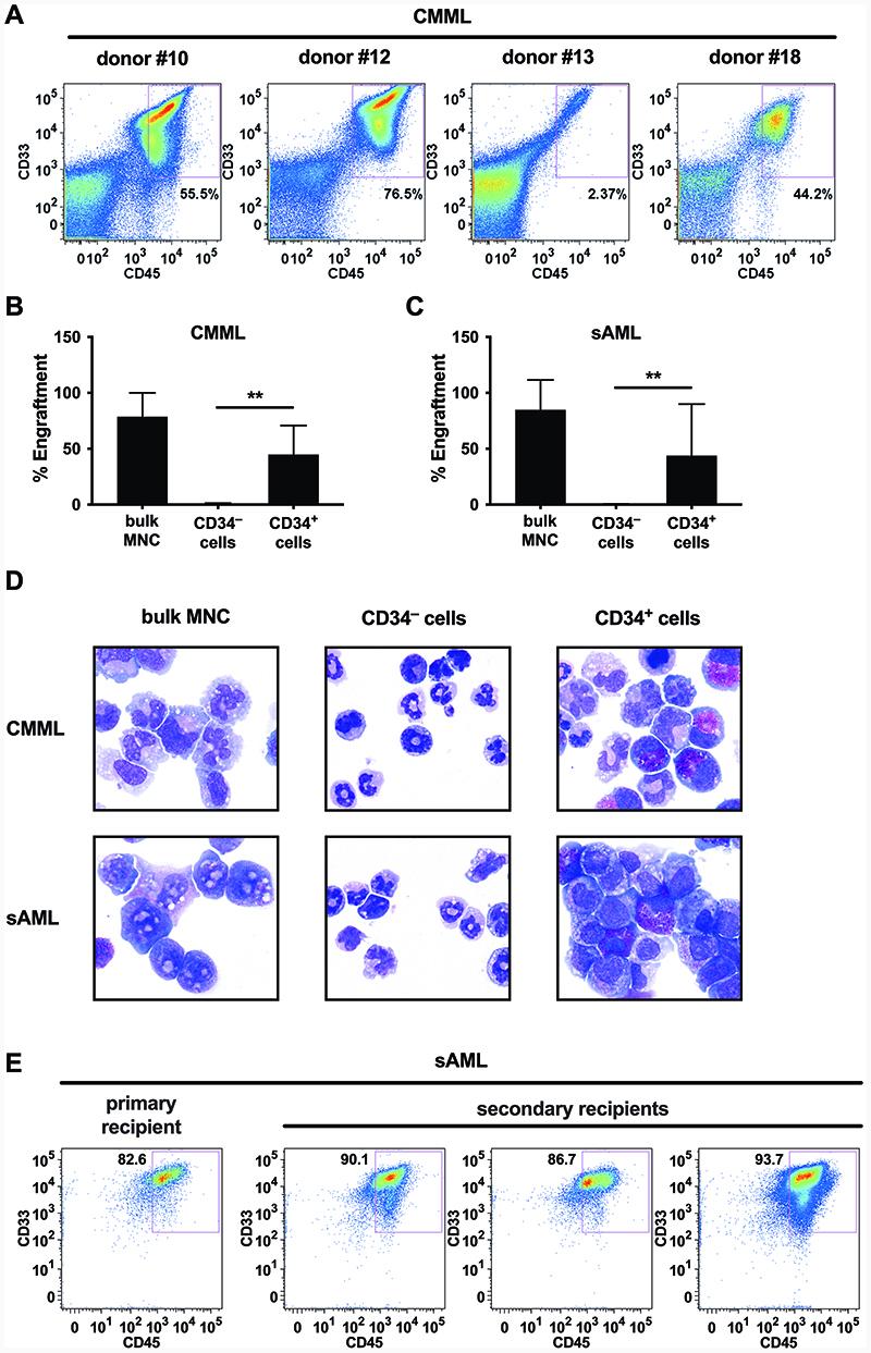 https://cdn.ncbi.nlm.nih.gov/pmc/blobs/e4d9/7611912/d67befff2055/EMS119146-f001.jpg
