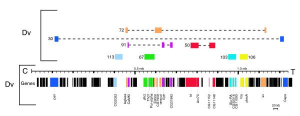 https://cdn.ncbi.nlm.nih.gov/pmc/blobs/e4de/1431729/5b4763ff04fe/gb-2006-7-2-r15-4.jpg