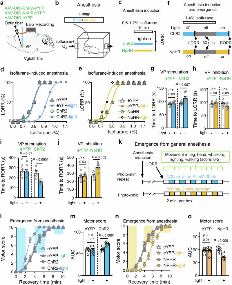 https://cdn.ncbi.nlm.nih.gov/pmc/blobs/e4df/12084612/98ef95dee7a1/41467_2025_59857_Fig2_HTML.jpg