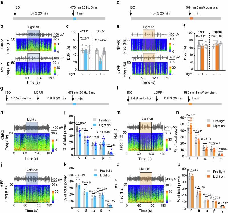 https://cdn.ncbi.nlm.nih.gov/pmc/blobs/e4df/12084612/e804c9f3fbc5/41467_2025_59857_Fig3_HTML.jpg