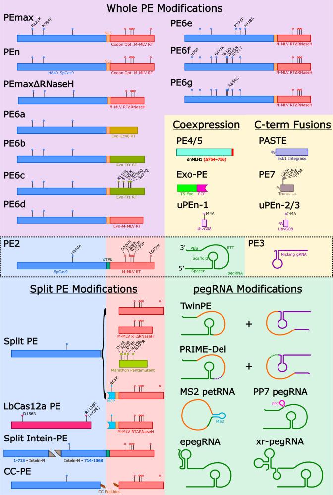 https://cdn.ncbi.nlm.nih.gov/pmc/blobs/e4e0/11946880/eff74b7bf344/41434_2024_499_Fig1_HTML.jpg
