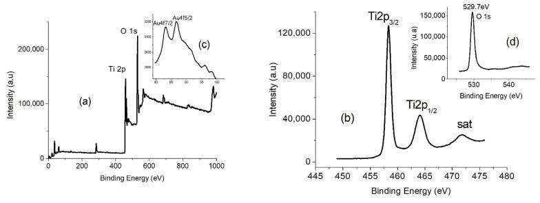 https://cdn.ncbi.nlm.nih.gov/pmc/blobs/e4e0/9690051/24e0f6e63d00/gels-08-00728-g003.jpg