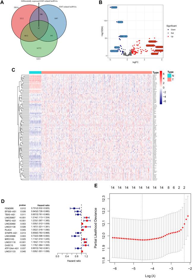 https://cdn.ncbi.nlm.nih.gov/pmc/blobs/e4e1/9428519/e445a3ed0b5d/fmolb-09-976878-g001.jpg
