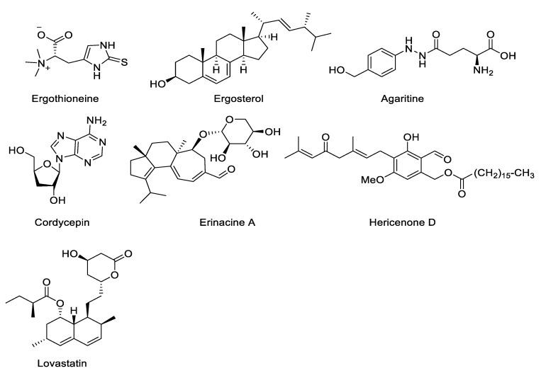 https://cdn.ncbi.nlm.nih.gov/pmc/blobs/e4e2/8161071/c0116f6677b9/jof-07-00397-g002.jpg