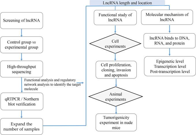 https://cdn.ncbi.nlm.nih.gov/pmc/blobs/e4e4/7775490/17df5e906549/fonc-10-598817-g003.jpg
