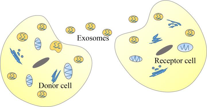 https://cdn.ncbi.nlm.nih.gov/pmc/blobs/e4e4/7775490/89319bbbb4e9/fonc-10-598817-g004.jpg