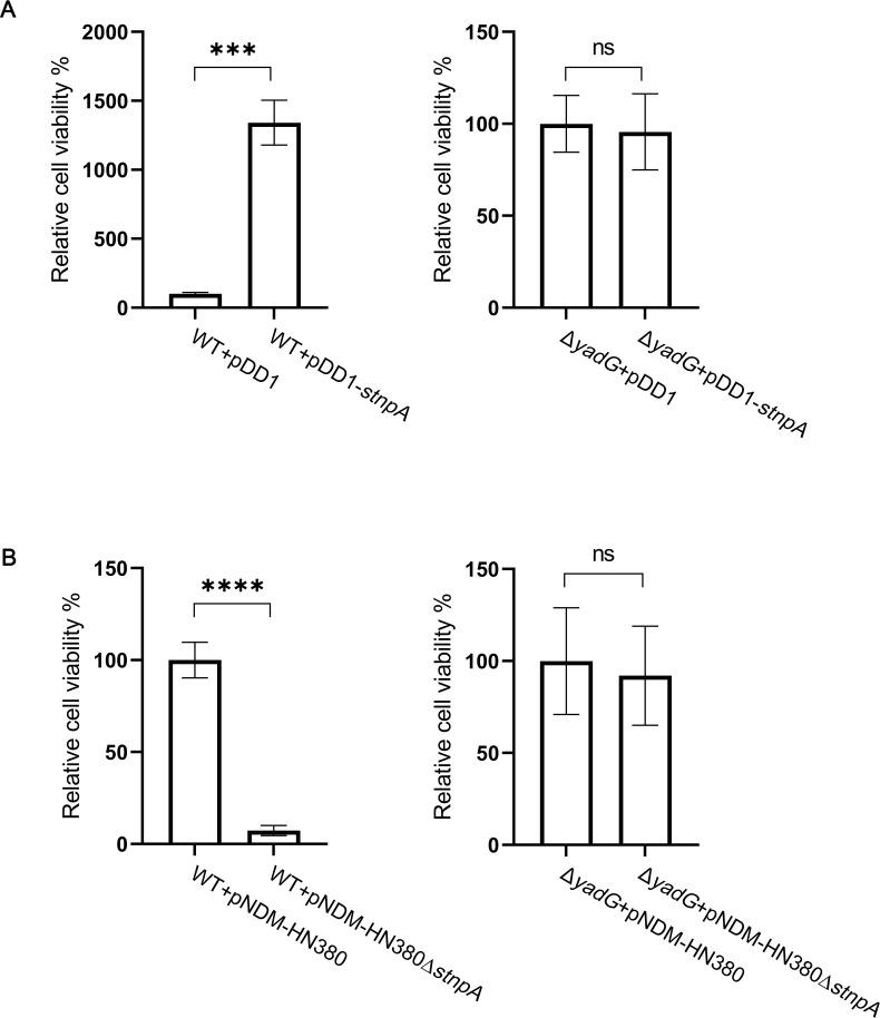https://cdn.ncbi.nlm.nih.gov/pmc/blobs/e4e5/11980398/dee7ccb93067/mbio.03814-24.f005.jpg