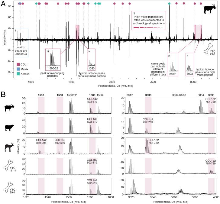 https://cdn.ncbi.nlm.nih.gov/pmc/blobs/e4e6/9171758/ea62fcddd75f/pnas.2109323119fig03.jpg