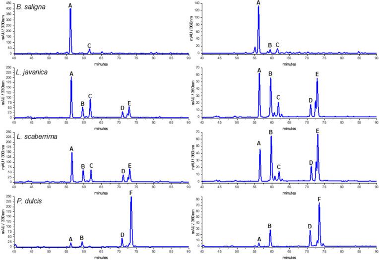 https://cdn.ncbi.nlm.nih.gov/pmc/blobs/e4e7/11505134/013b4bc3774c/antioxidants-13-01219-g002.jpg
