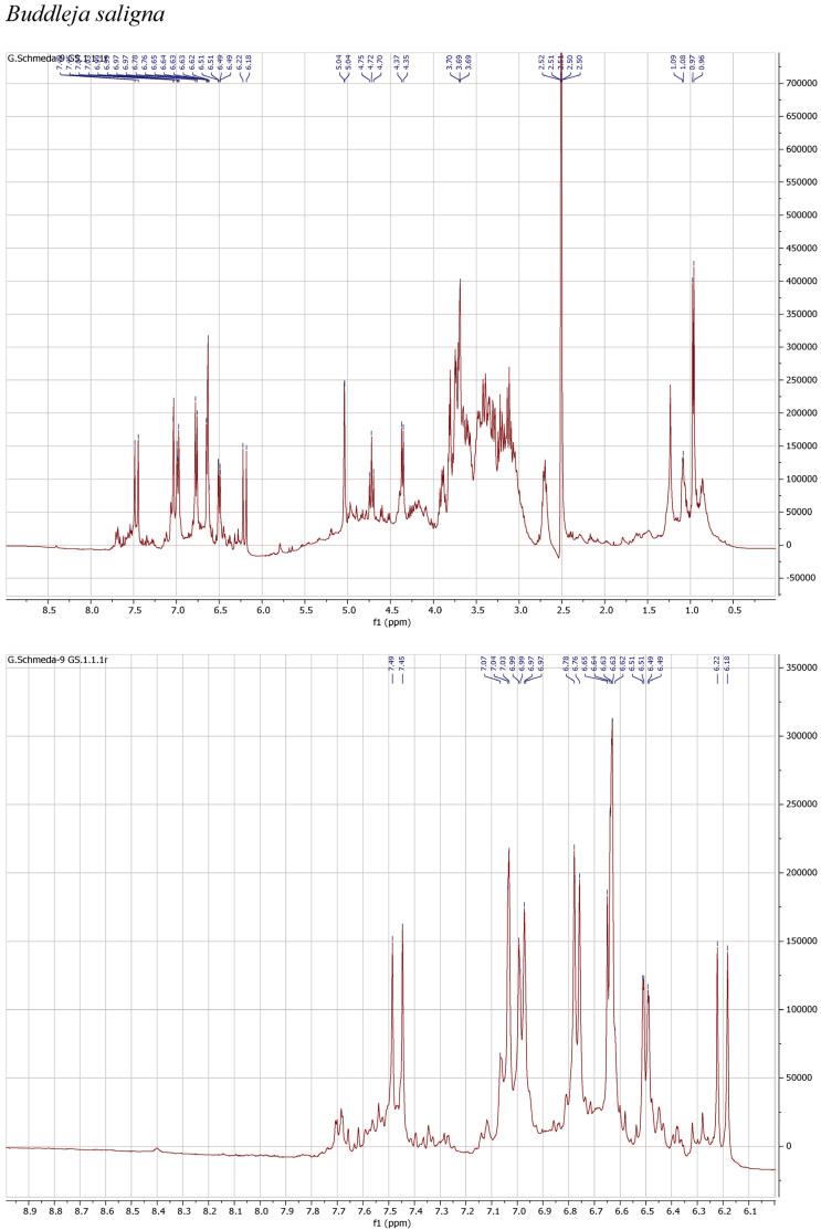 https://cdn.ncbi.nlm.nih.gov/pmc/blobs/e4e7/11505134/add0d31eed3b/antioxidants-13-01219-g001a.jpg