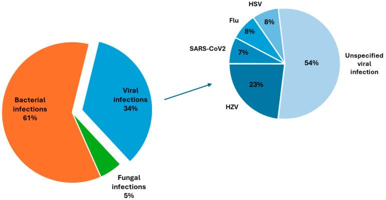 https://cdn.ncbi.nlm.nih.gov/pmc/blobs/e4e7/11597141/d97b8eda84bb/pathogens-13-00934-g002.jpg