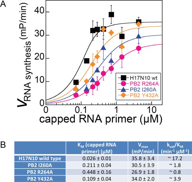 https://cdn.ncbi.nlm.nih.gov/pmc/blobs/e4e8/5778463/89735f564bfc/gkx1210fig3.jpg