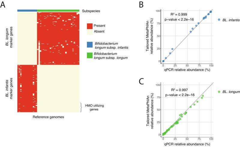 https://cdn.ncbi.nlm.nih.gov/pmc/blobs/e4ea/10827747/cdc5bb3228eb/41467_2024_45209_Fig1_HTML.jpg