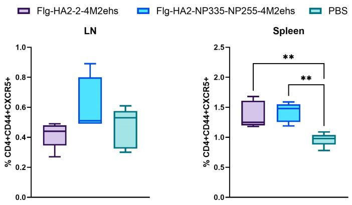 https://cdn.ncbi.nlm.nih.gov/pmc/blobs/e4eb/11505154/4b2b164a81bb/biology-13-00801-g004.jpg