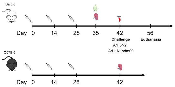 https://cdn.ncbi.nlm.nih.gov/pmc/blobs/e4eb/11505154/e87e12ad4ebd/biology-13-00801-g002.jpg