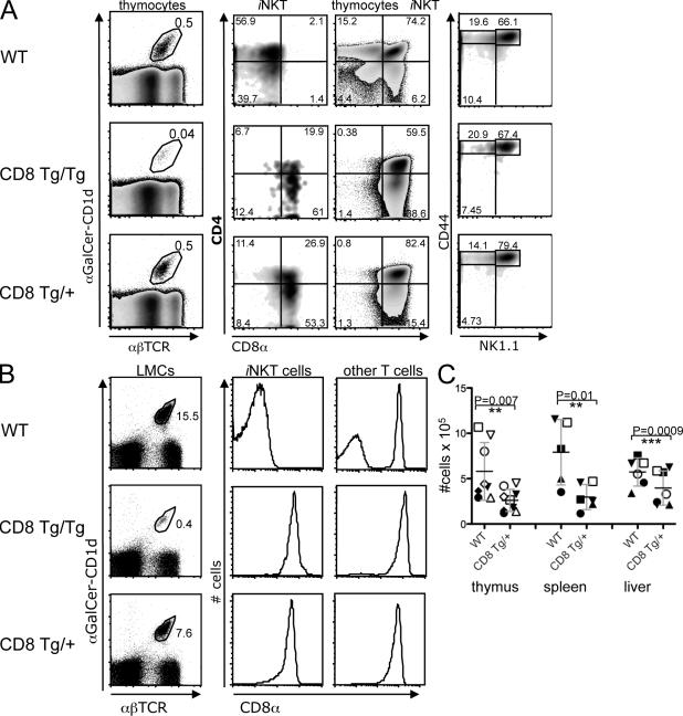 https://cdn.ncbi.nlm.nih.gov/pmc/blobs/e4ec/2867285/09f70b832968/JEM_20090557_GS_Fig2.jpg