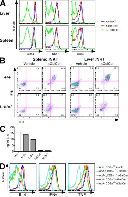 https://cdn.ncbi.nlm.nih.gov/pmc/blobs/e4ec/2867285/0cb67e024cf0/JEM_20090557_RGB_Fig7.jpg
