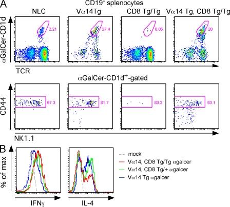 https://cdn.ncbi.nlm.nih.gov/pmc/blobs/e4ec/2867285/61bc3a106f36/JEM_20090557_RGB_Fig5.jpg