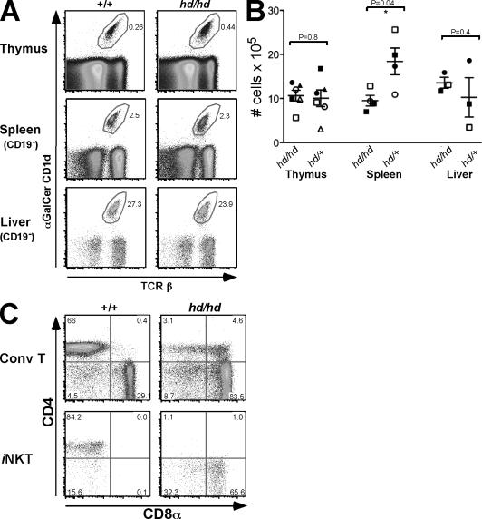 https://cdn.ncbi.nlm.nih.gov/pmc/blobs/e4ec/2867285/e817fe6d0fbc/JEM_20090557_GS_Fig6.jpg