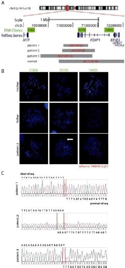 https://cdn.ncbi.nlm.nih.gov/pmc/blobs/e4ed/3049153/20596ec12e10/humu0031-E1851-f1.jpg
