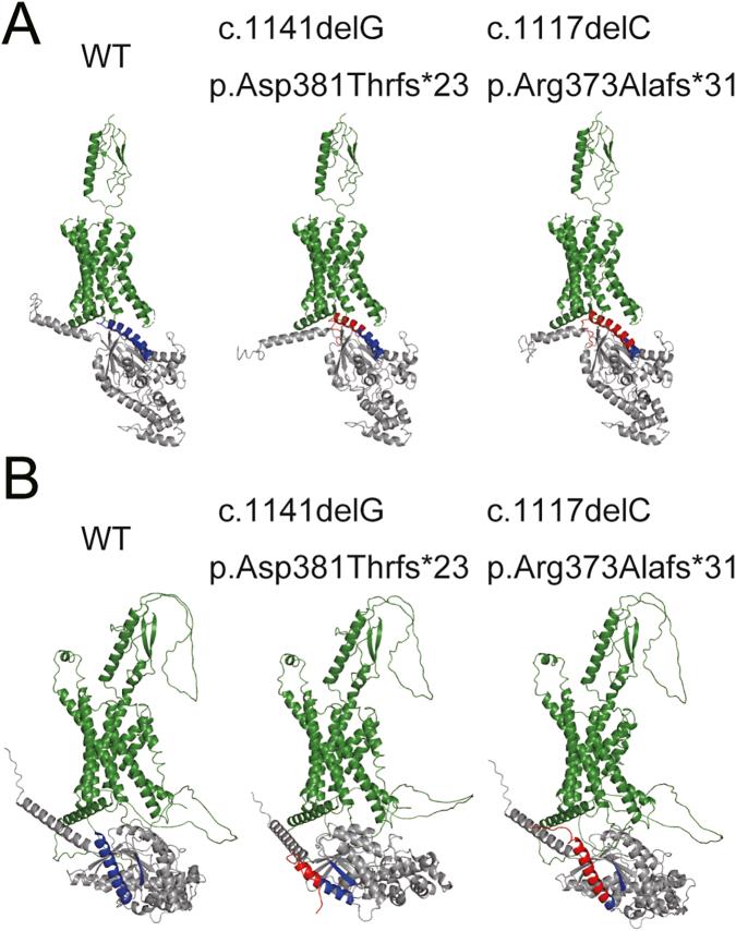 https://cdn.ncbi.nlm.nih.gov/pmc/blobs/e4ed/9668531/98d19b9e8b8d/gr3.jpg