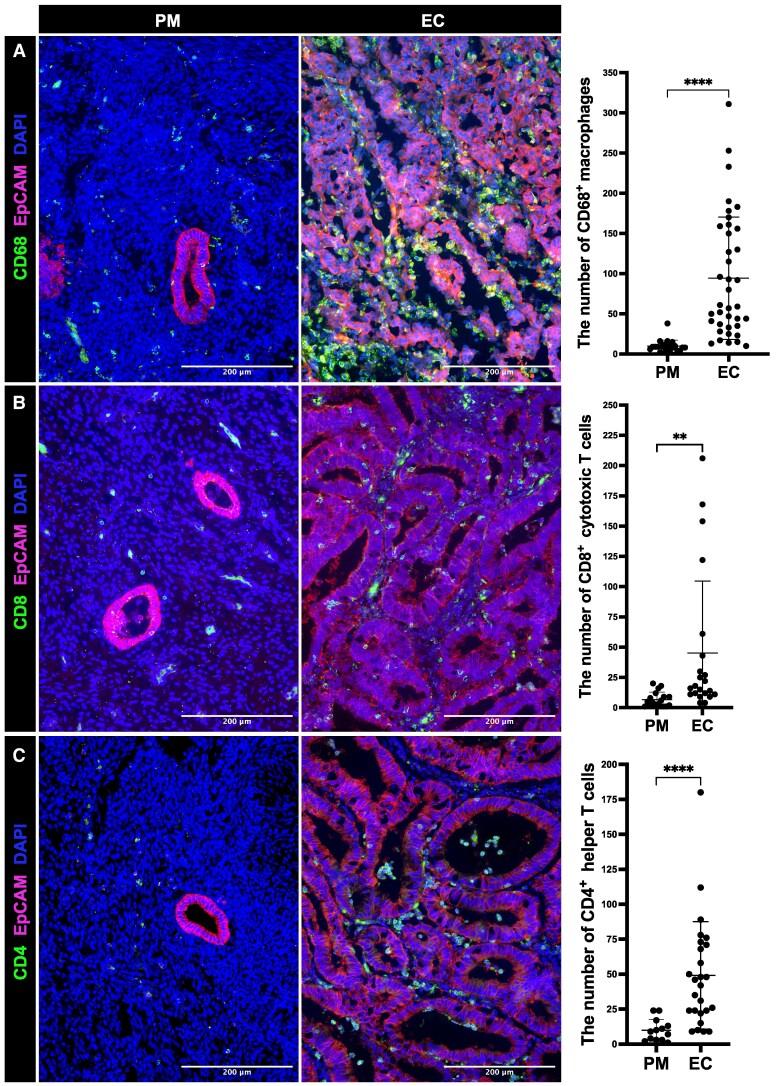 https://cdn.ncbi.nlm.nih.gov/pmc/blobs/e4ef/12077145/be9341498bdc/pgaf143f3.jpg