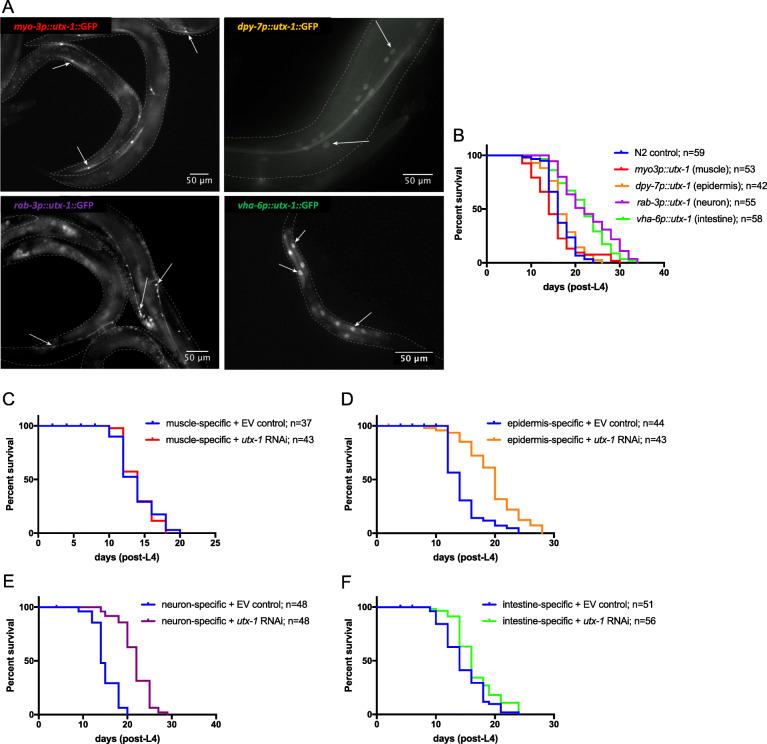 https://cdn.ncbi.nlm.nih.gov/pmc/blobs/e4f0/7995591/dfe371a2f812/12915_2021_984_Fig6_HTML.jpg