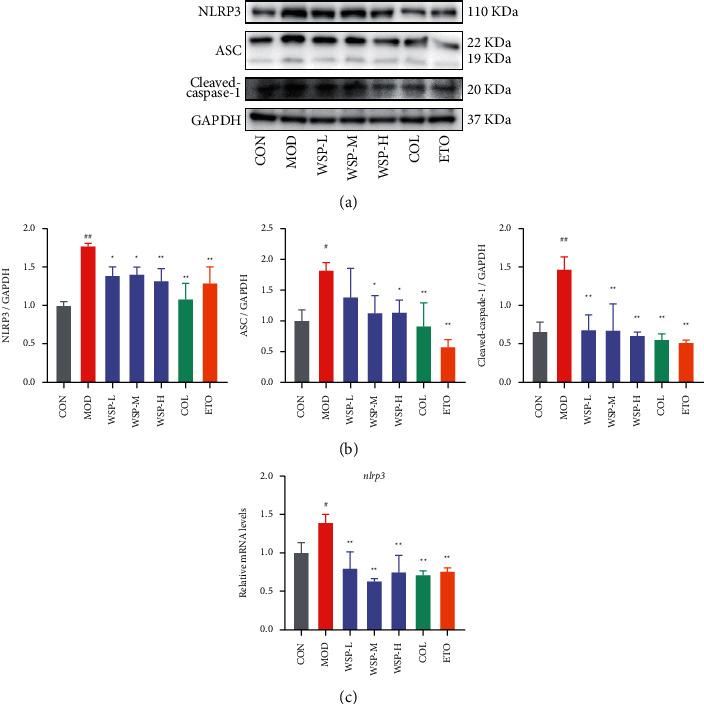 https://cdn.ncbi.nlm.nih.gov/pmc/blobs/e4f0/9568303/15cf50f223a7/ECAM2022-2377692.008.jpg