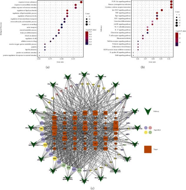 https://cdn.ncbi.nlm.nih.gov/pmc/blobs/e4f0/9568303/2a143e799308/ECAM2022-2377692.004.jpg